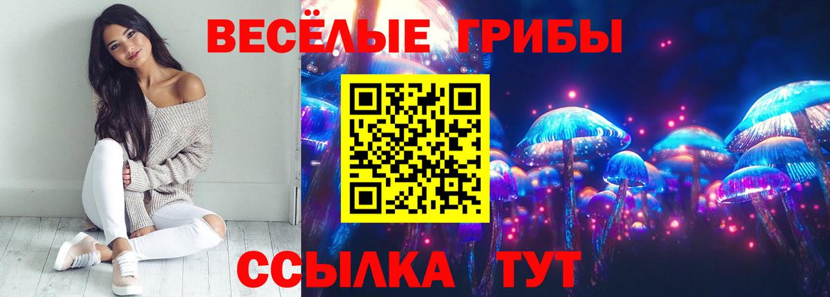 Псилоцибиновые грибы прущие грибы Камень-на-Оби